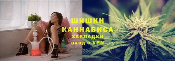 шишки Краснотурьинск