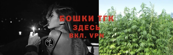 шишки Краснотурьинск
