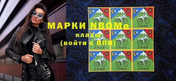 шишки Краснотурьинск
