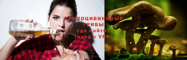 молекула духа Коряжма