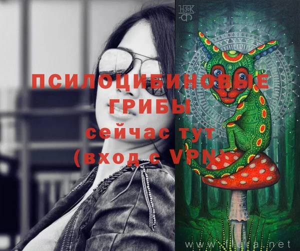 mdma Корсаков