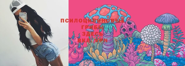 шишки Краснотурьинск