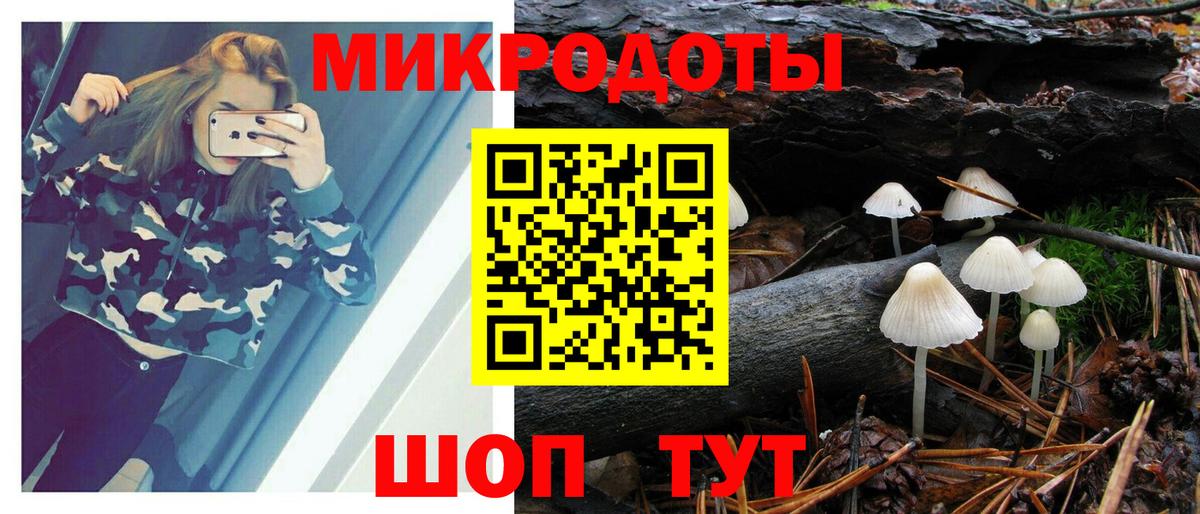 купить   Псилоцибиновые грибы мицелий  Сарапул  Галлюциногенные грибы мицелий 